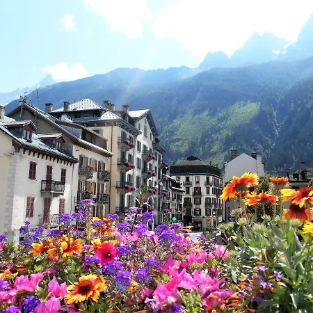 公寓 Vue Montblanc Magique En Centre-ville Avec Parking