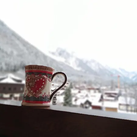 Vue Montblanc Magique En Centre-ville Avec Parking 公寓