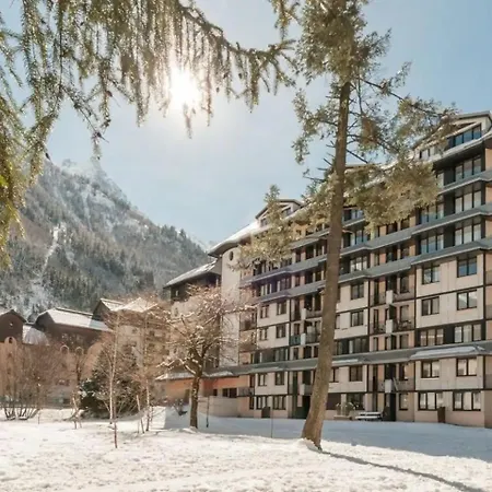 Vue Montblanc Magique En Centre-ville Avec Parking 公寓 *