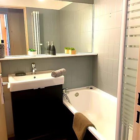 Le Chamois 5e Balcon Panoramique Montblanc Avec Parking Gratuit Daire Chamonix