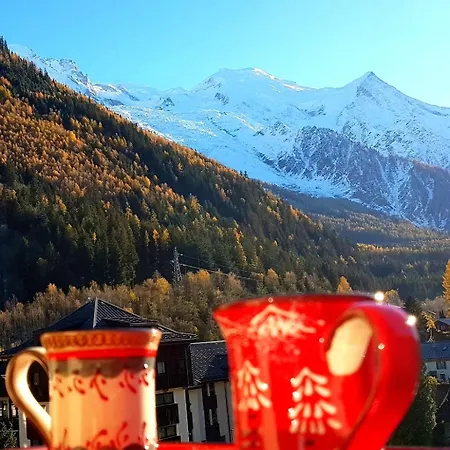 Le Chamois 5e Balcon Panoramique Montblanc Avec Parking Gratuit Daire Chamonix