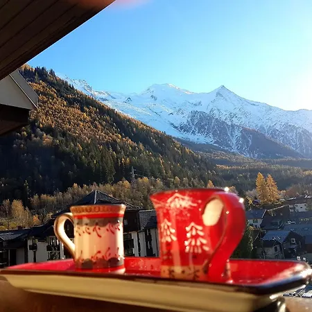 Daire Le Chamois 5e Balcon Panoramique Montblanc Avec Parking Gratuit Chamonix